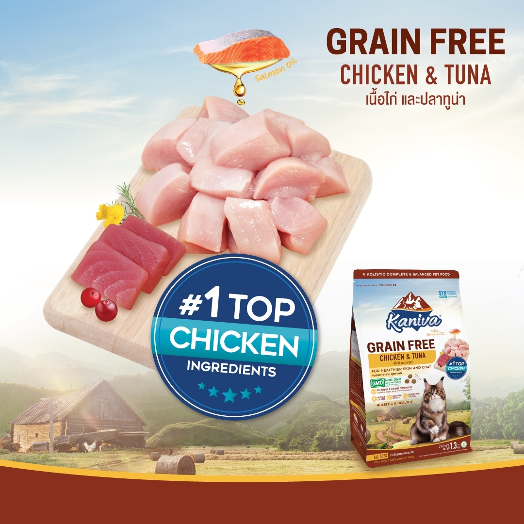 Kaniva Grain Free Chicken 370 G. อาหารแมว สูตรเกรนฟรี เนื้อไก่และปลา ...