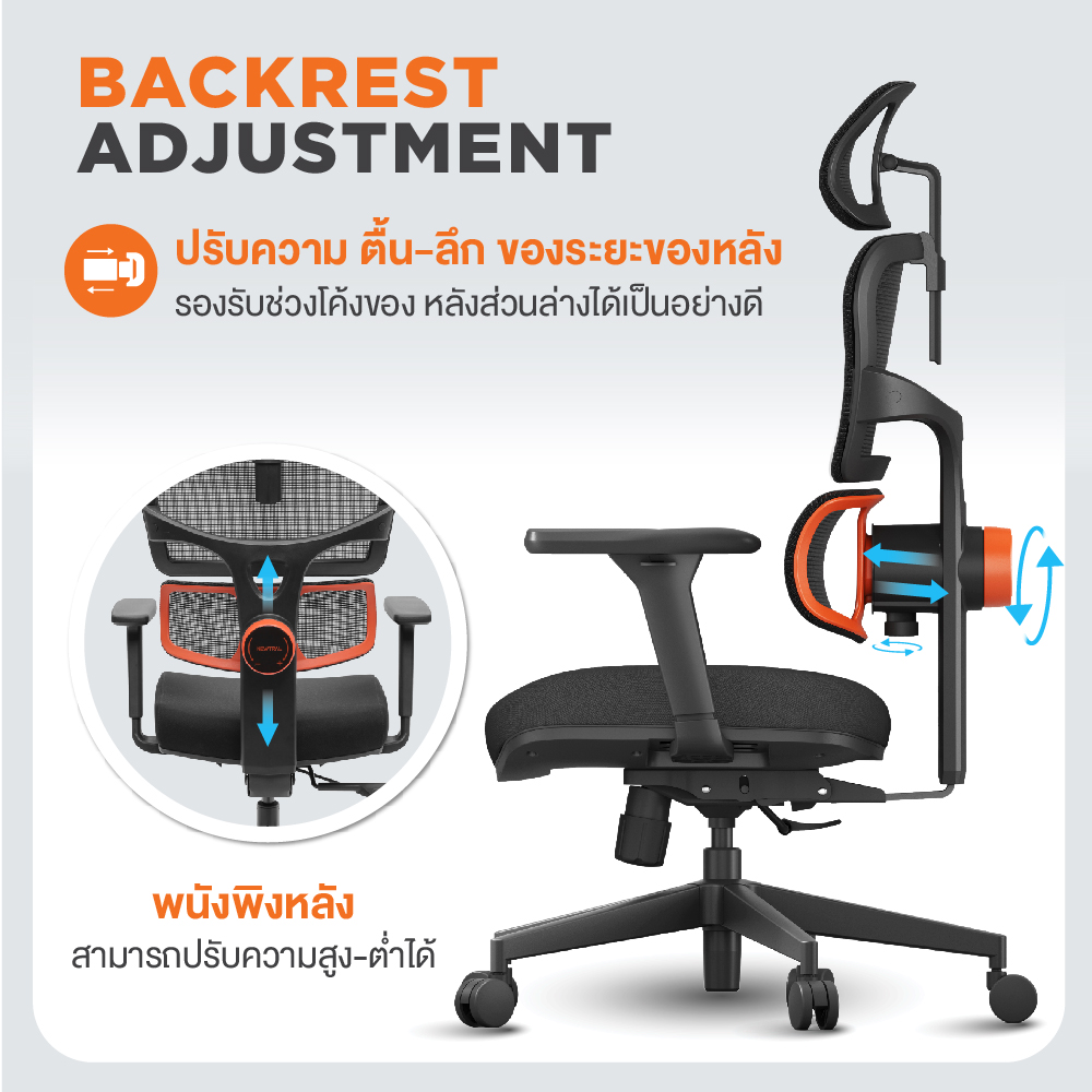 Ergotrend เก้าอี้เพื่อสุขภาพเออร์โกเทรน รุ่น HESSE สีดำ เก้าอี้สีดำ ระบายอากาศดีเยี่ยม นุ่มสบาย ตามหลักสรีระศาสตร์ Ergonomic เก้าอี้พนักพิงสูง ลดอาการปวดเมื่อย เกรดคุณภาพ