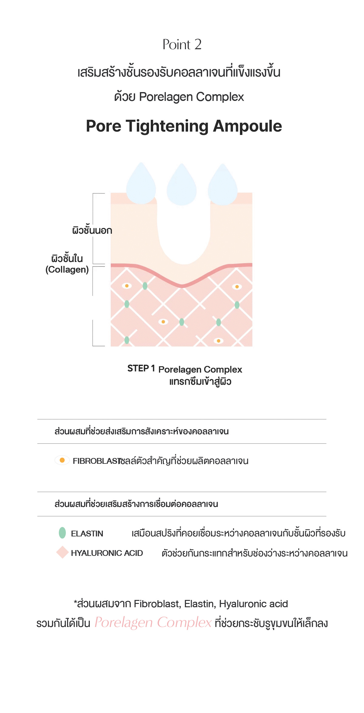 BIODANCE Pore Tightening Collagen Ampoule 50ml | Shopee Thailand
