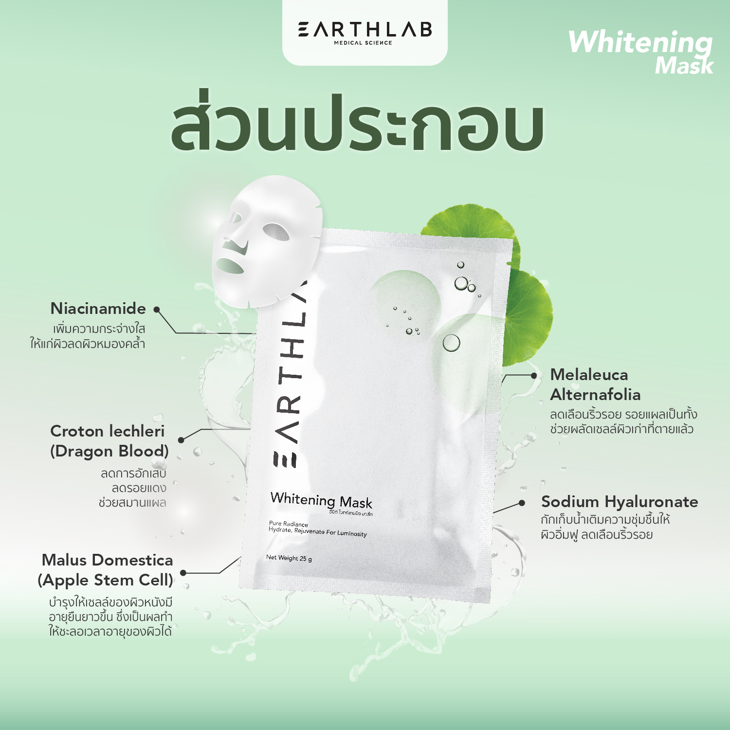 Earth Lab Whitening Mask 1 ชิ้น l แผ่นมากส์หน้า ไวท์เทนนิ่ง (รหัส ...