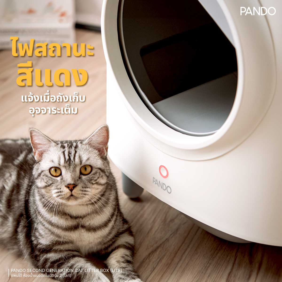 [ของแถม+ใช้โค้ดลด5%] Rabbit Selection Pet Pando Second Generation Cat ...