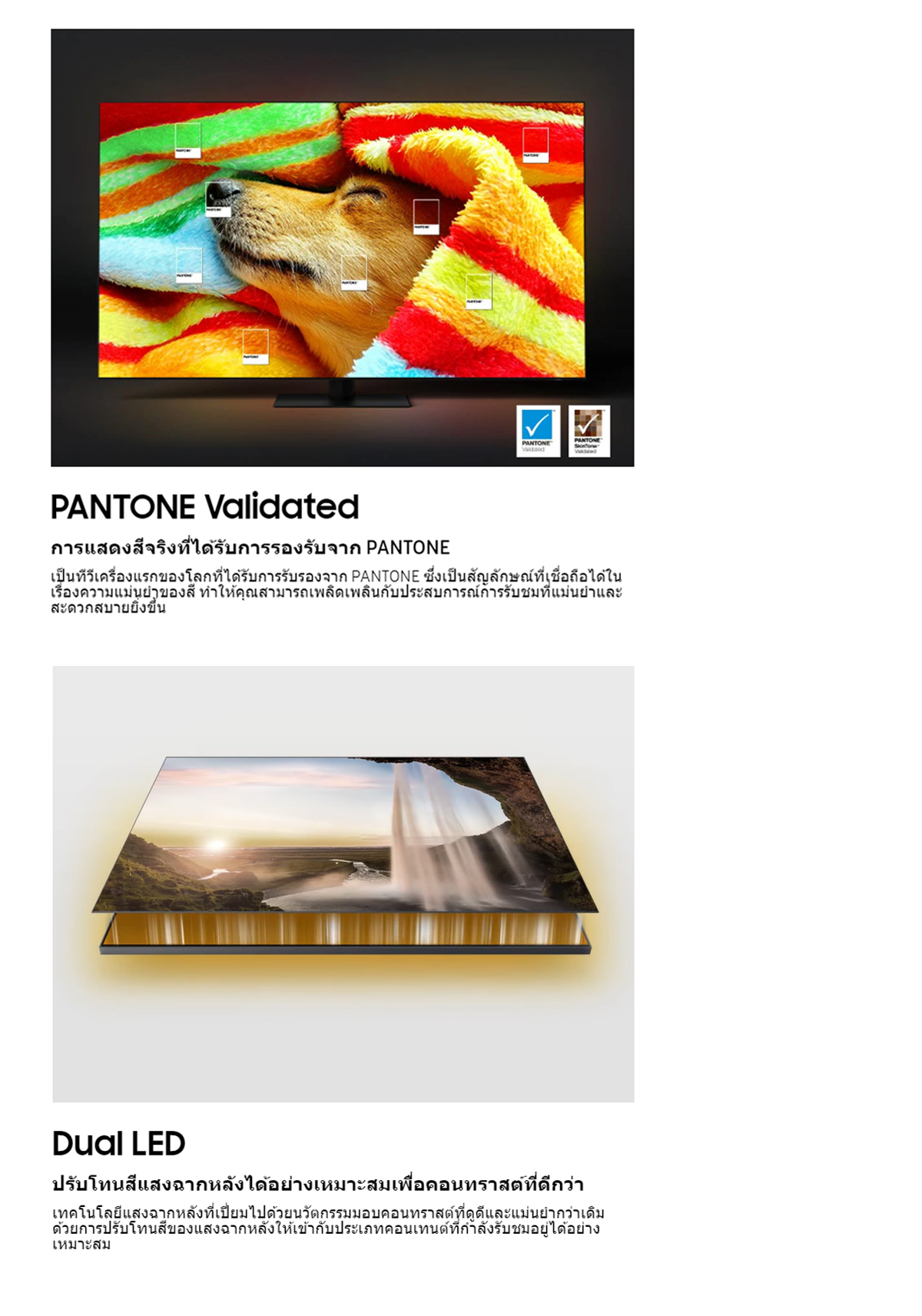 SAMSUNG [Pre-order จัดส่งฟรี] QLED Smart TV (2023) 65 นิ้ว QE1C Series รุ่น QA65QE1CAKXXT