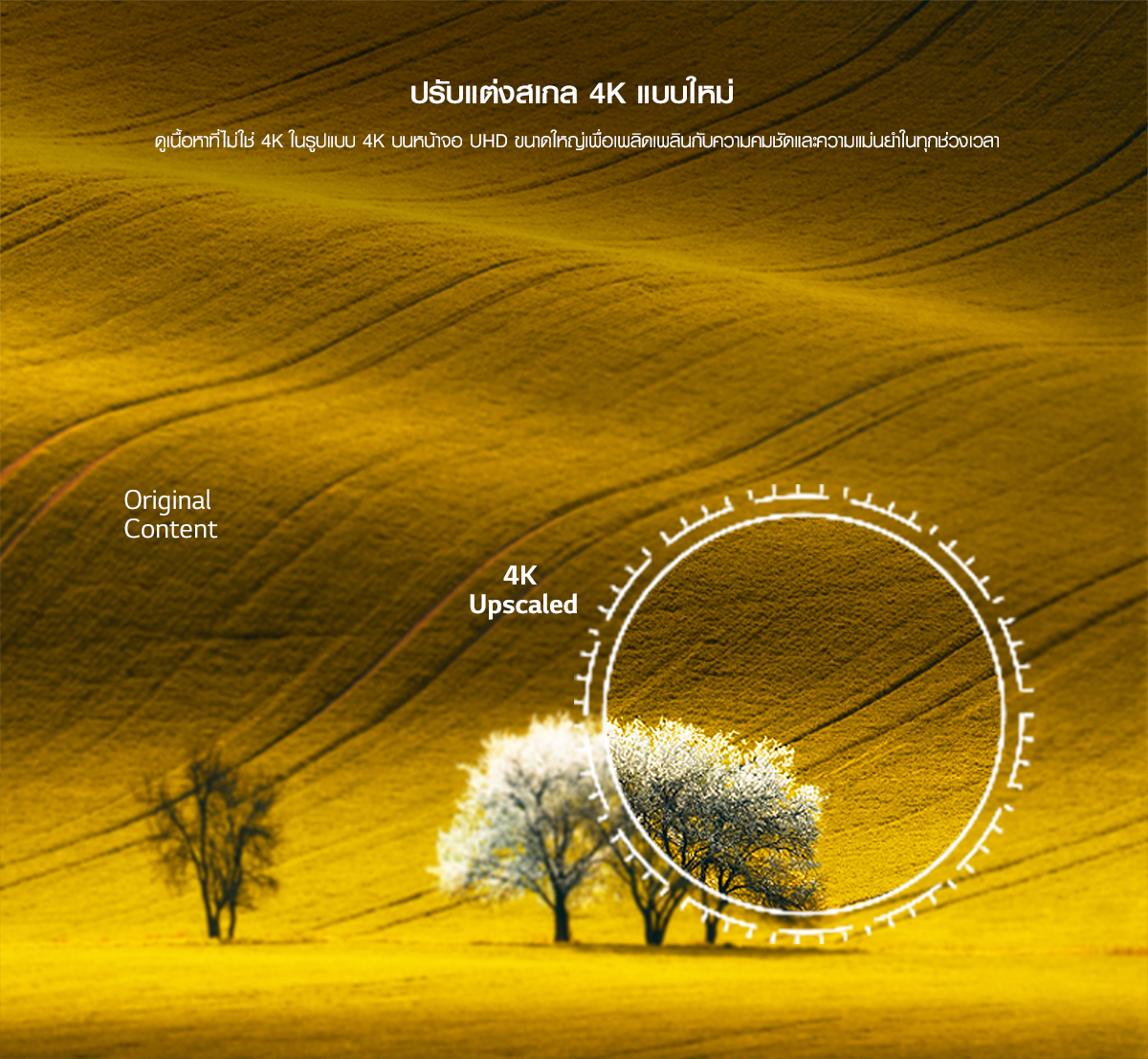 LG UHD 50 นิ้ว 4K Smart TV รุ่น 50UQ7050PSA