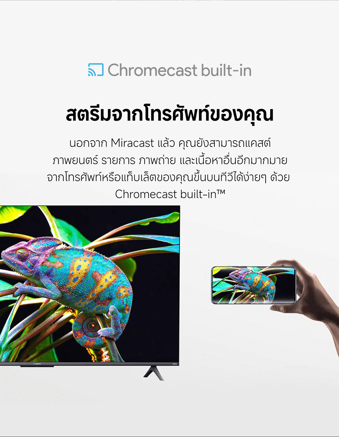Xiaomi New Arrival TV รุ่น A Pro 55 ขนาด 55 นิ้ว Google TV｜หน้าจอ QLED 4K｜เสียงสุดดื่มด่ำจาก Dolby Audio™ , DTS:X, DTS Virtual