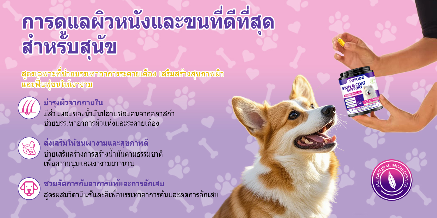 Popoo Skin & Coat Support for Dogs ขนมสุนัขบำรุงผิวหนังและขน สำหรับ ...