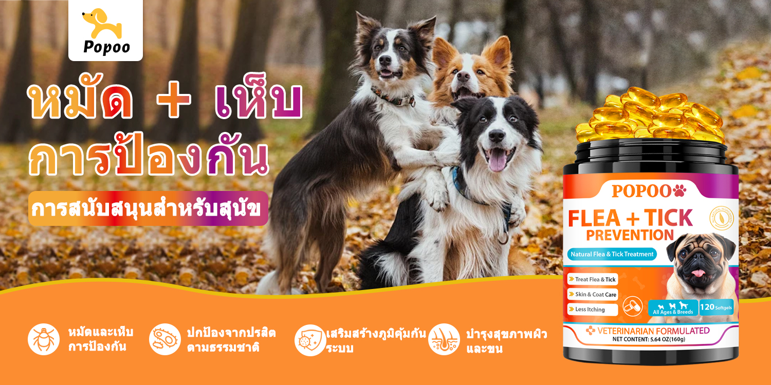 Popoo แพ็คสุดคุ้ม 2สูตร โปรไบโอติกสำหรับสุนัข และ Flea & Tick ...