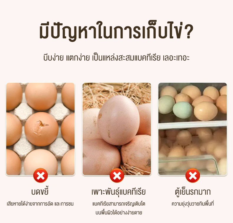 Nearra กล่องเก็บไข่ในตู้เย็น 1ชุด มี 2 ชั้น รองรับไข่ไก่ได้ 32 ฟอง จัด ...