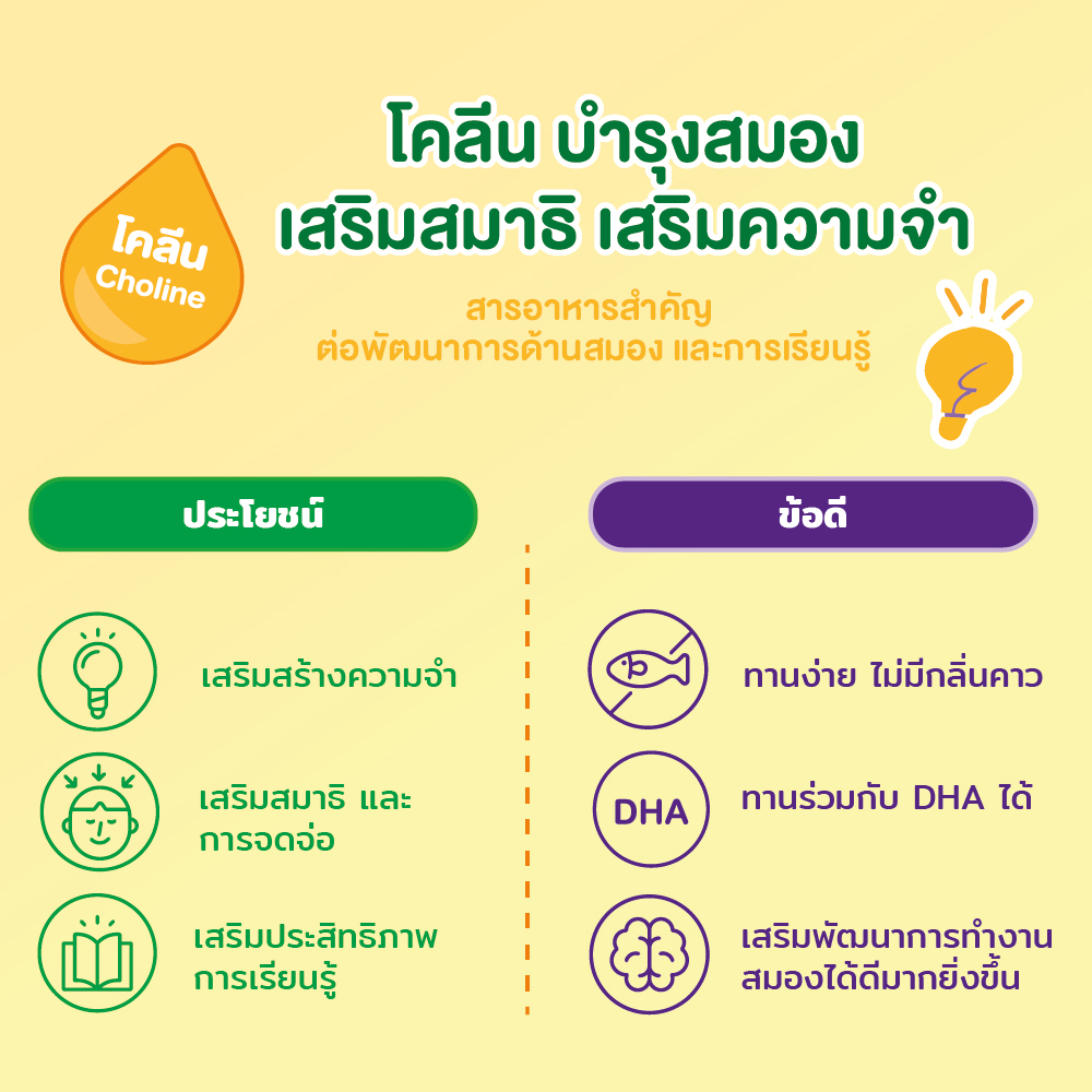Berocca Elderberry plus Choline & Zinc sachet 10ml x 7 บีรอคคา เอลเดอร์ ...