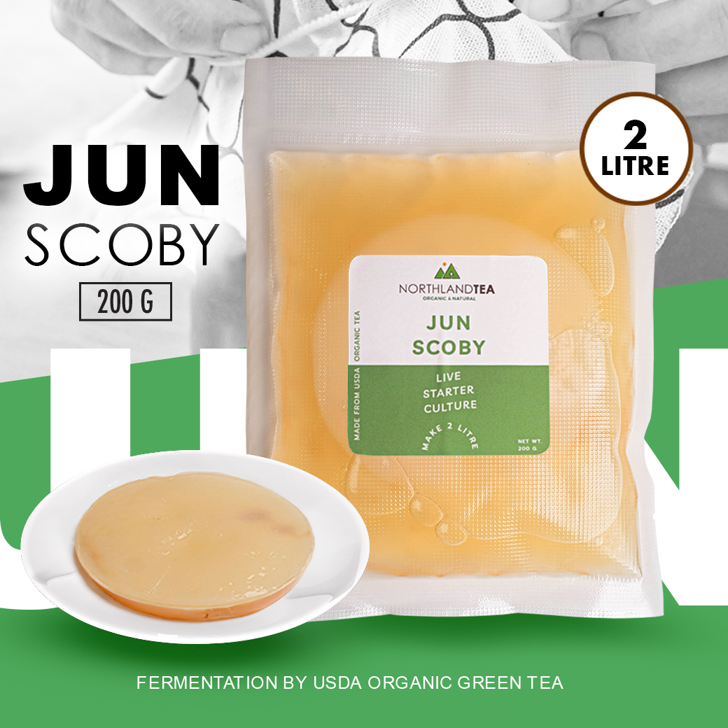 Northlandtea - Organic Jun SCOBY 200 ml - สโคบี้หัวเชื้อ พร้อมน้ำตั้ง ...