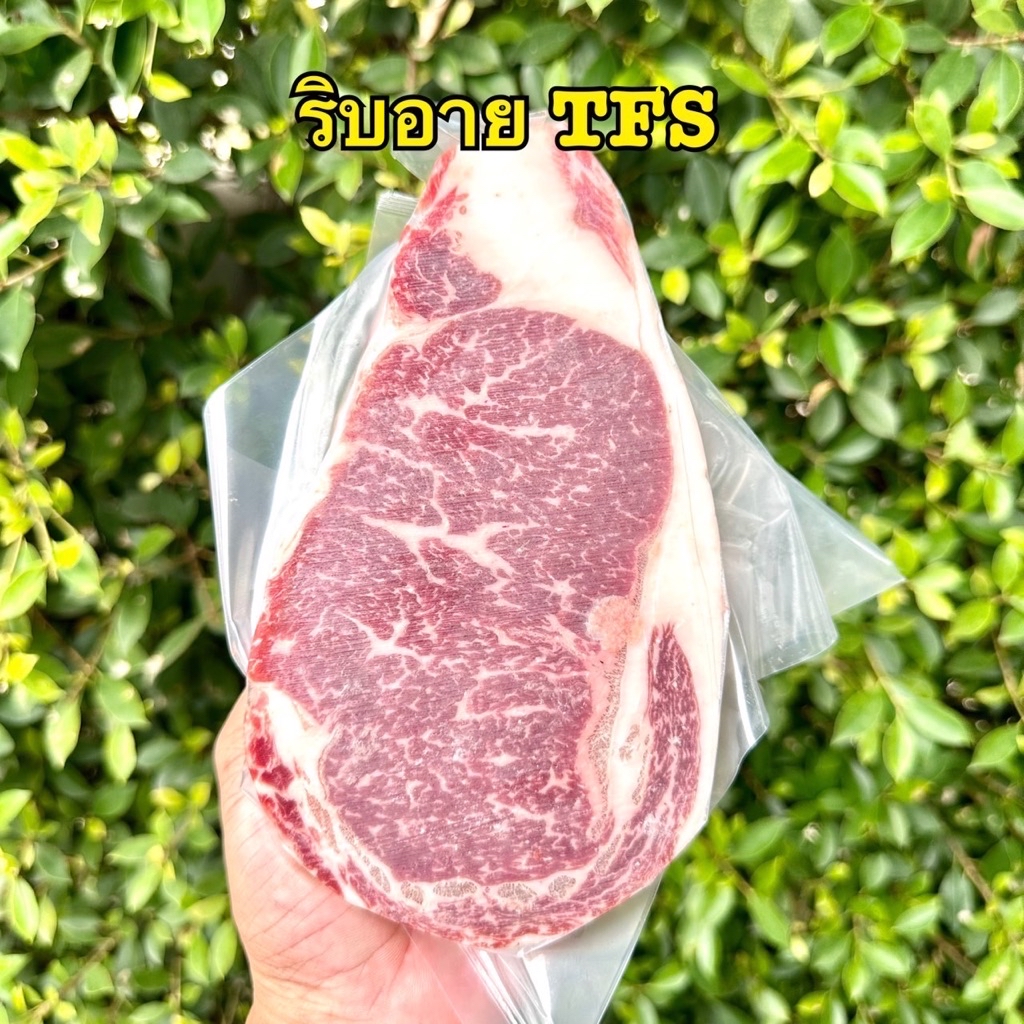ริบอาย / สันแหลม เนื้อไทยเฟร้น Ribeye Thai French beef เกรด Super ...