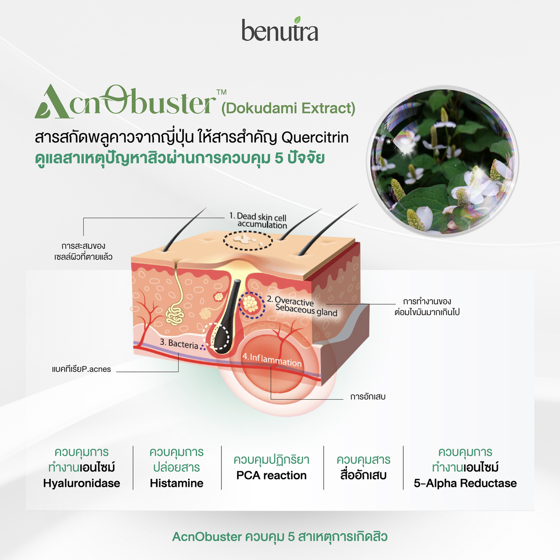 BENUTRA ACNO PRO 1 กระปุก 30 เม็ด บีนูทร่า แอคโน โปร วิตามินลดสิว ซิงค์ ...