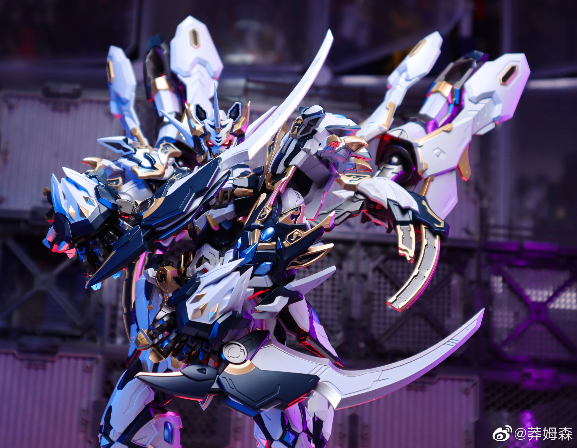 CD-02 WHITE TIGER [ CANGDAO ] | Shopee Thailand