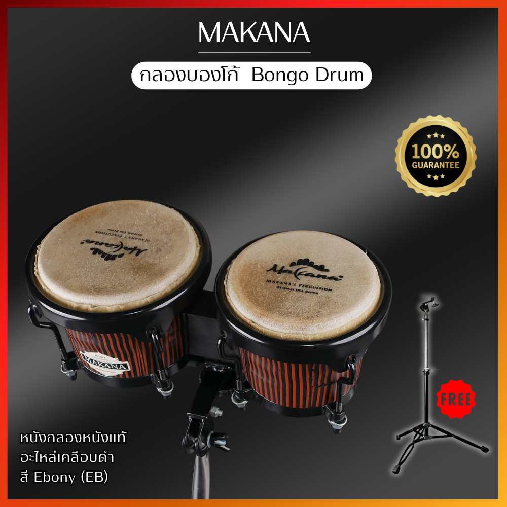 Makana Bongo 202 Ebony กลองบองโก้ บรองโก้ สีอีโบนี่ (Ebony) พร้อมขาตั้ง ...