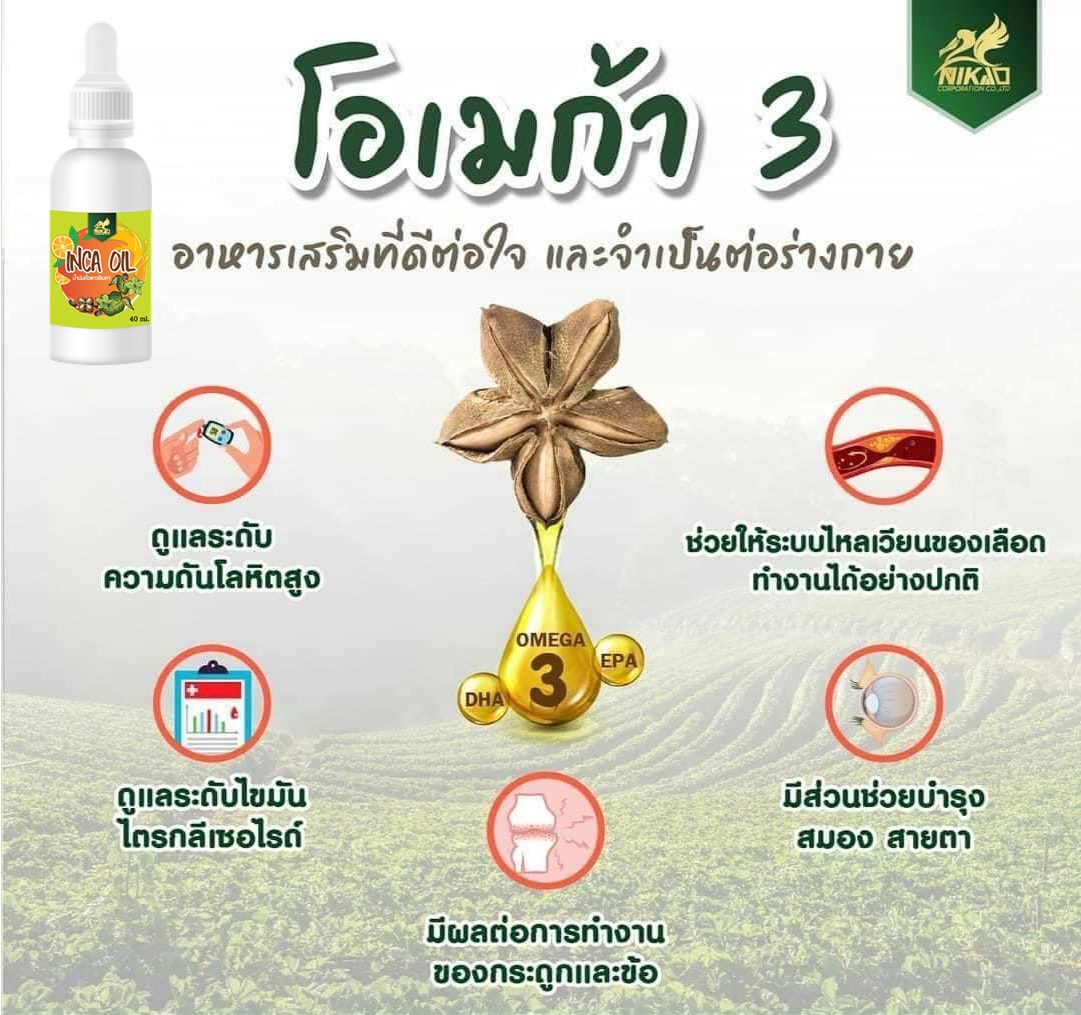 Nikao Inca Oil ของแท้ !!! น้ำมันถั่วดาวอินคา (ตรา นิเคโอะ) (Omega 3 6 9 ...