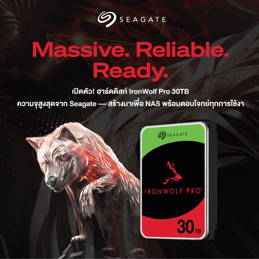 Seagate 30TB 3.5 HDD SEAGATE IRONWOLF PRO – 7200RPM, 512MB, SATA3 ...