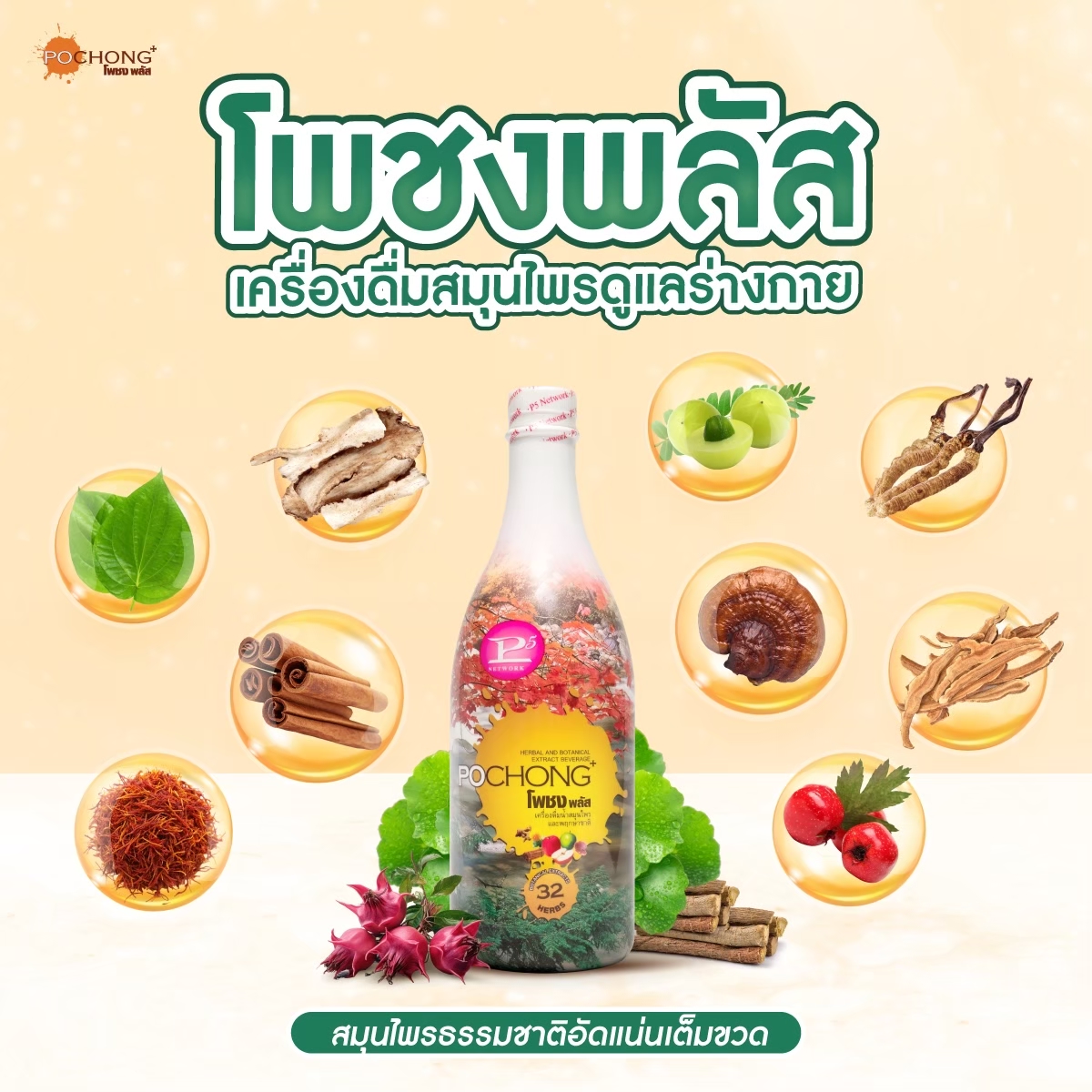 น้ำสมุนไพรโพชง พลัส Pochong Plus 1 ขวดใหญ่ เครื่องดื่มบำรุงสุขภาพ บำรุง ...