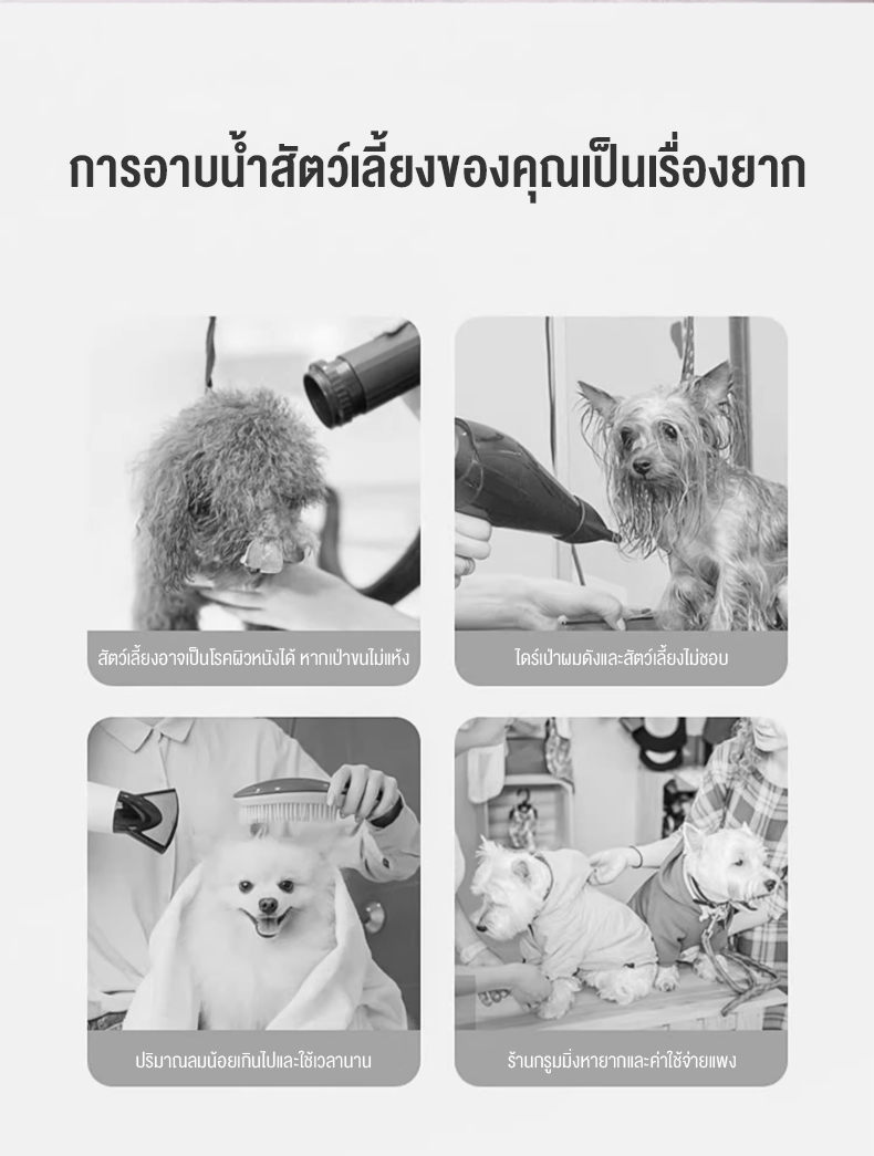 Pet drying box ลมแรงมาก แห้งเร็ว ไดร์ขนสุนัข เป่าขนแมว กล่องอบแห้งสัตว์ ...