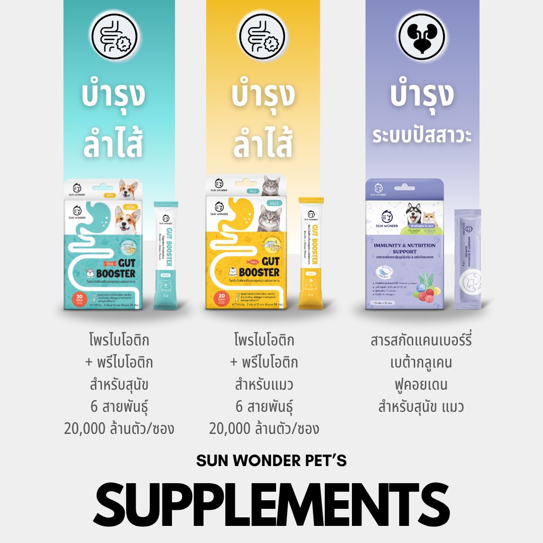 Sun Wonder 1 และ 6 ซอง ซันวันเดอร์ ปรับสมดุลสำไส้ เสริมภูมิคุ้มกัน ...