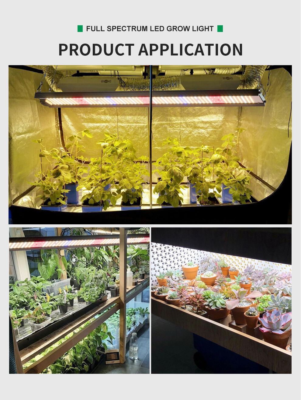 ไฟปลูกต้นไม้ SAMSUNG Full Spectrum Grow Light LED 850W ชิป LM281B ไฟ ...