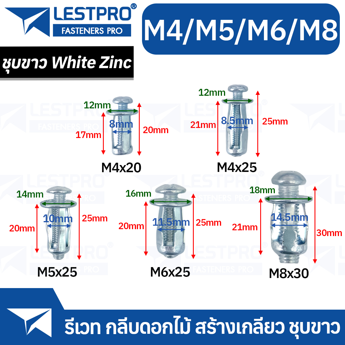 รีเวท M4 M5 M6 M8 สร้างเกลียว กลีบดอกไม้ พุกร่มเหล็ก ชุบขาว Petal ...
