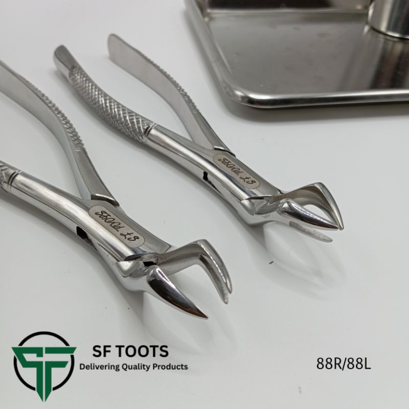 88R/88L extraction forceps คีมถอนฟัน | Shopee Thailand