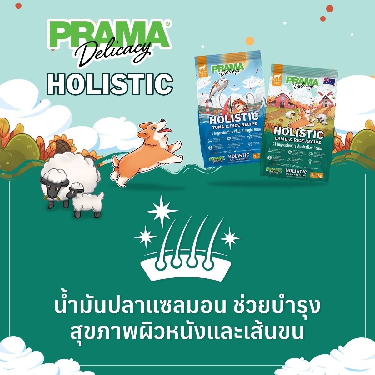 Prama อาหารสุนัขพราม่าเกรด Holistic มีให้เลือก 2 สูตร เนื้อแกะ และ ปลา ...