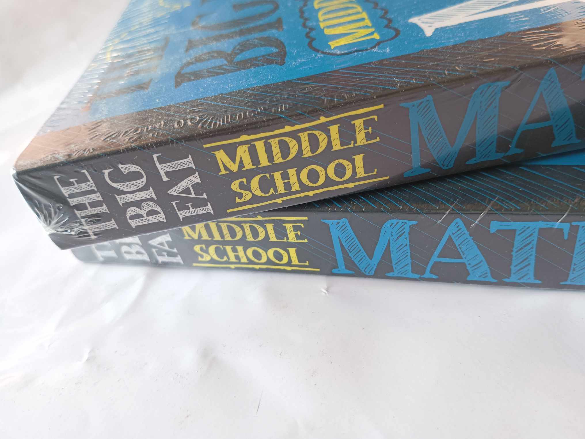 หนังสือ The Big Fat Middle School Math Workbook | Shopee Thailand