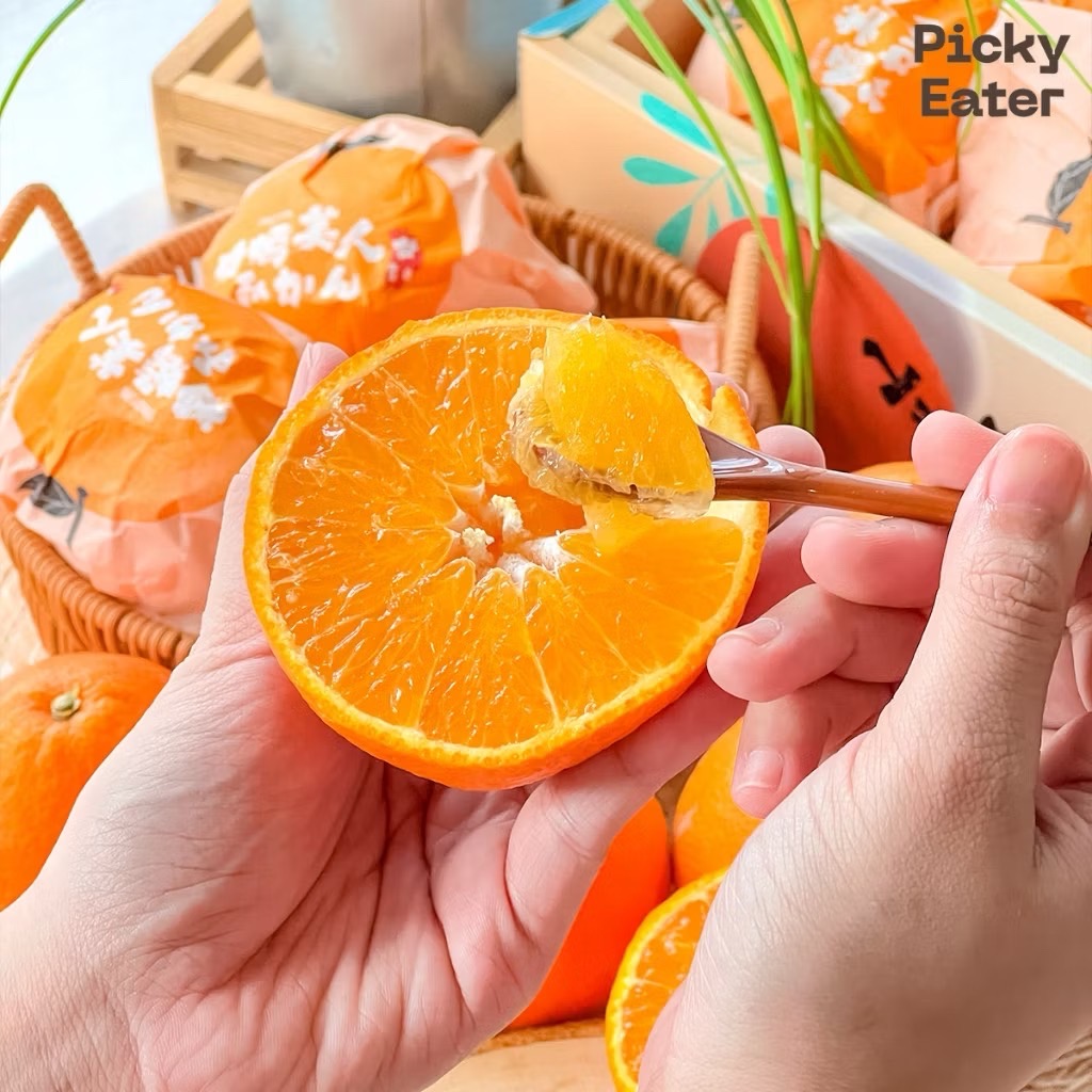 ส้มเอฮิเมะสด สายพันธุ์ญี่ปุ่น ยกลัง Ehime Orange ส้มเนื้อเยลลี่ ...