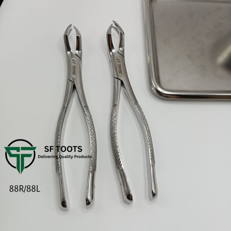 88R/88L extraction forceps คีมถอนฟัน | Shopee Thailand