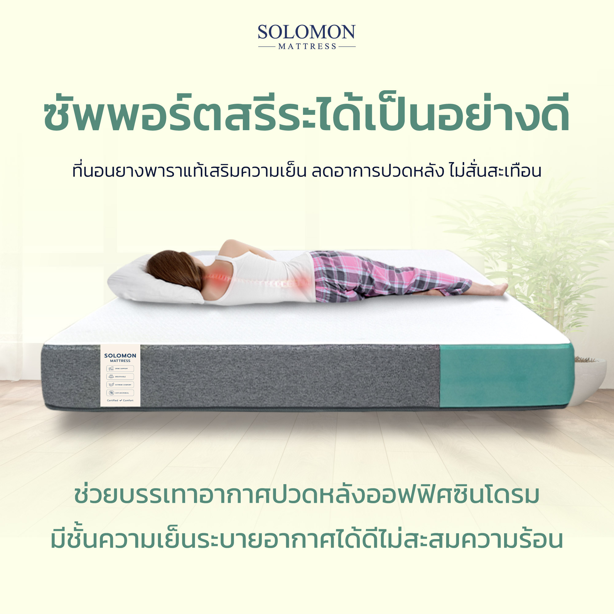 SOLOMON รุ่น CLOVER ที่นอนยางพารานุ่ม หนา 8 นิ้ว เสริมเจลเย็นช่วยลดอาการปวดหลัง