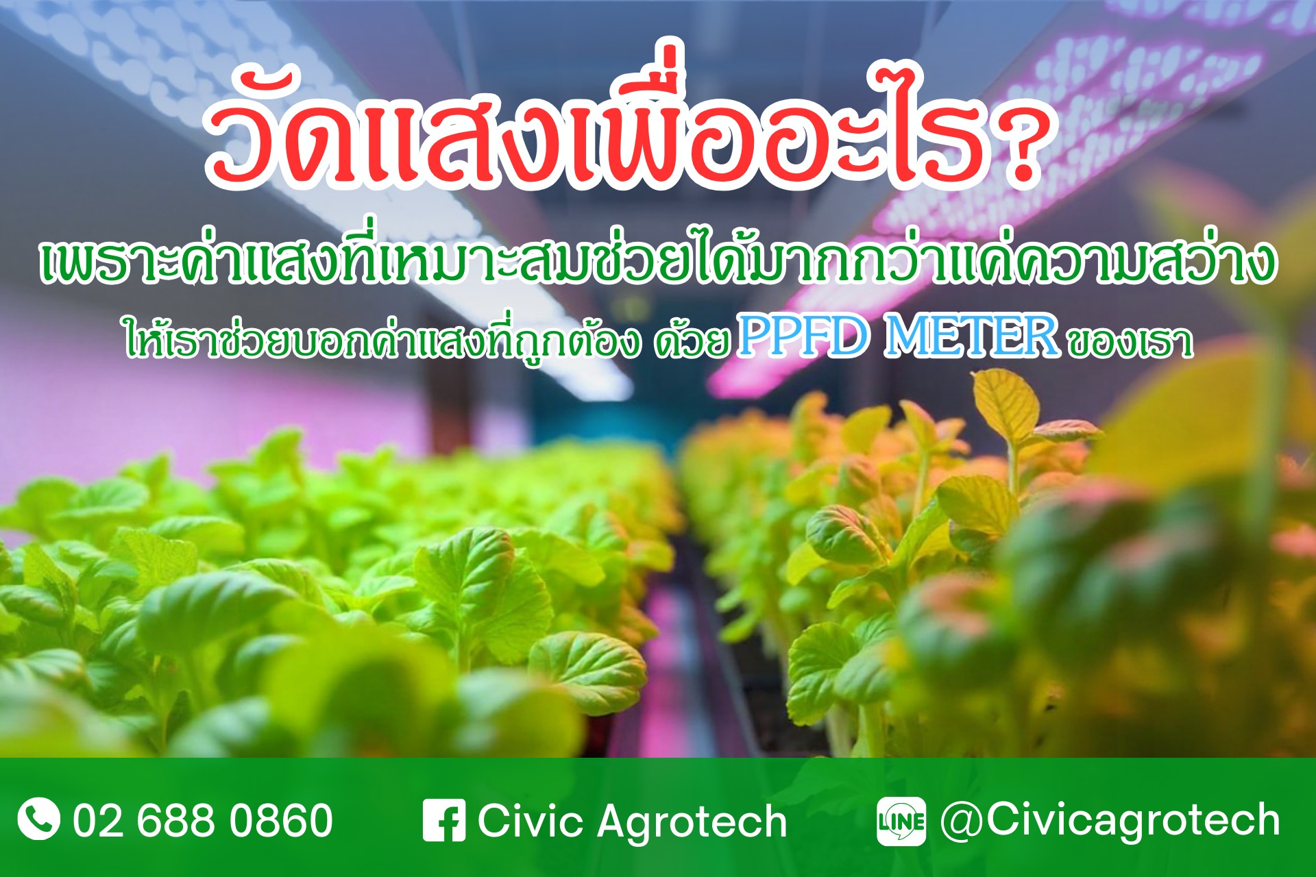 มิเตอร์วัดค่า PPFD ค่าความเข้มและปริมาณแสง ค่าแสงสำหรับปลูกพืช ผลิตใน ...