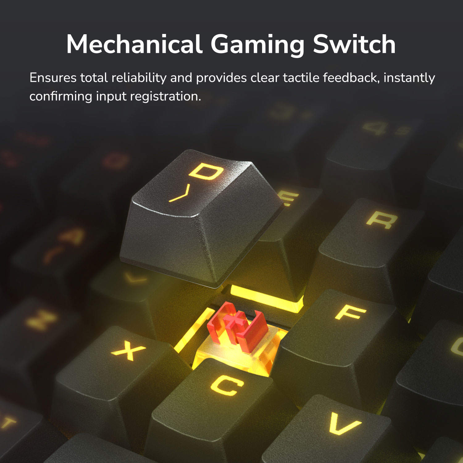 COUGAR COMBAT : Keyboard + Mouse Combo Set คีย์บอร์ด เมาส์ เกมส์มิ่ง ...