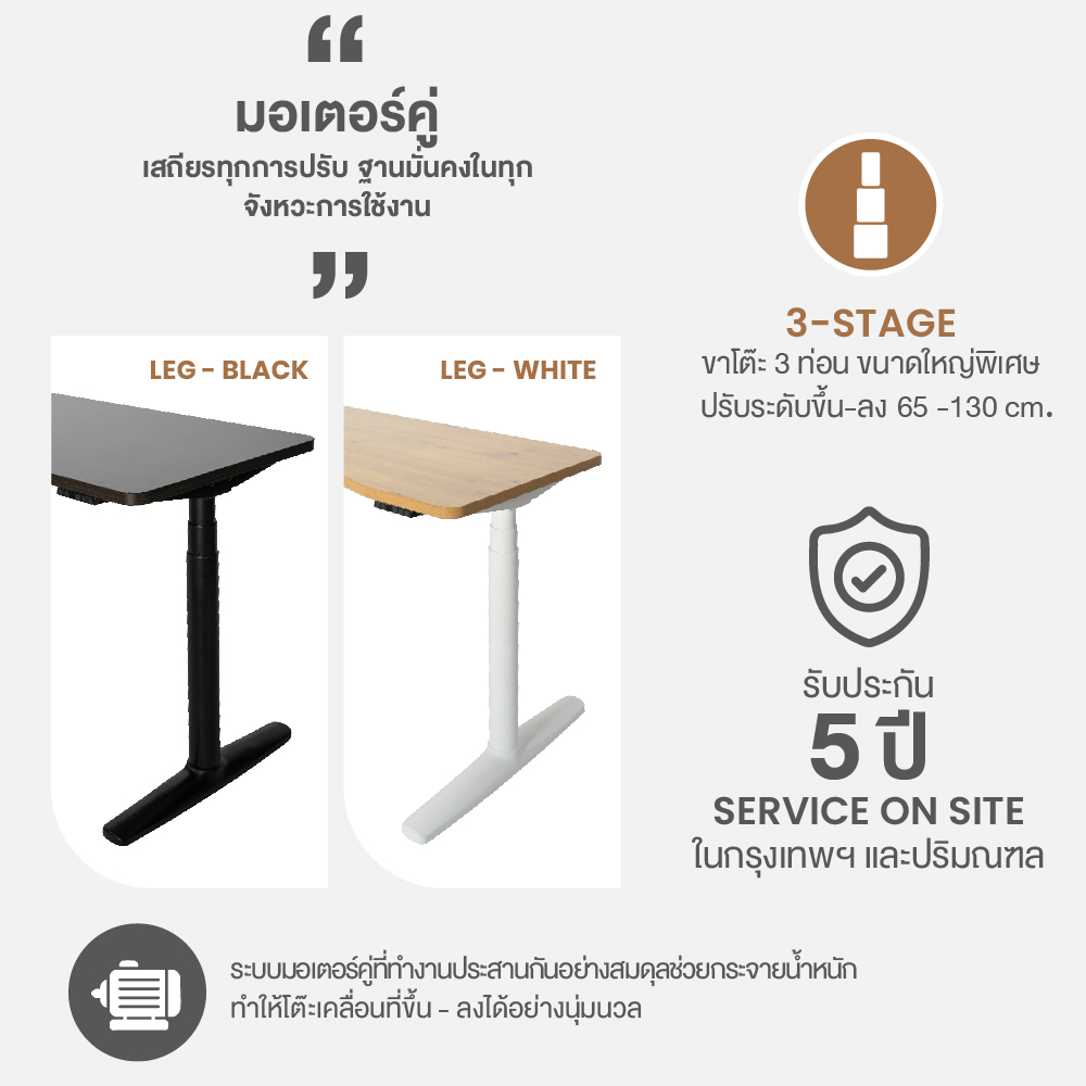 ErgoTrend Elevio โต๊ะไฟฟ้าปรับระดับมอเตอร์คู่ 3stage 65-130 cm ท๊อปโค้งรับสรีระ รับประกัน 5 ปี