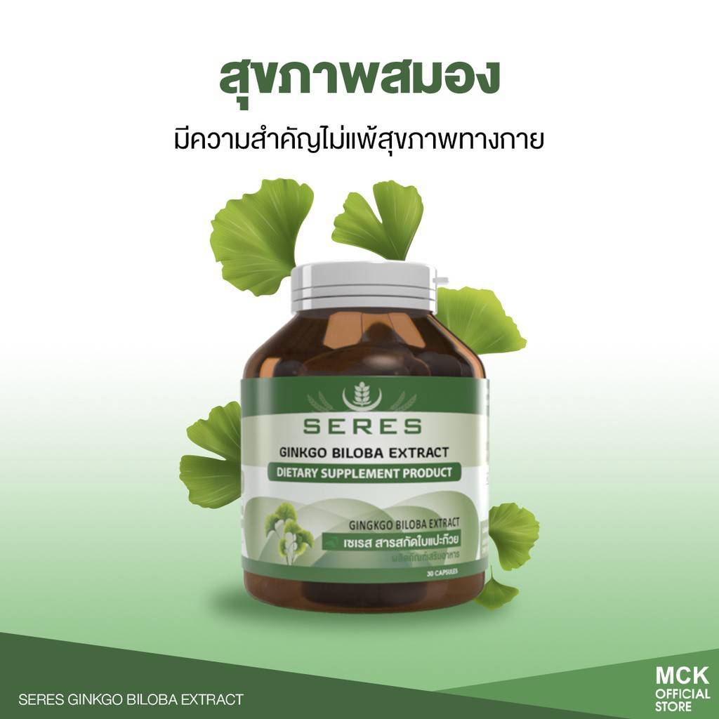 Ginkgo Biloba Extract ใบแปะก๊วย จิงโกะ บำรุงสมอง เสริมความจำ ป้องกันไม ...