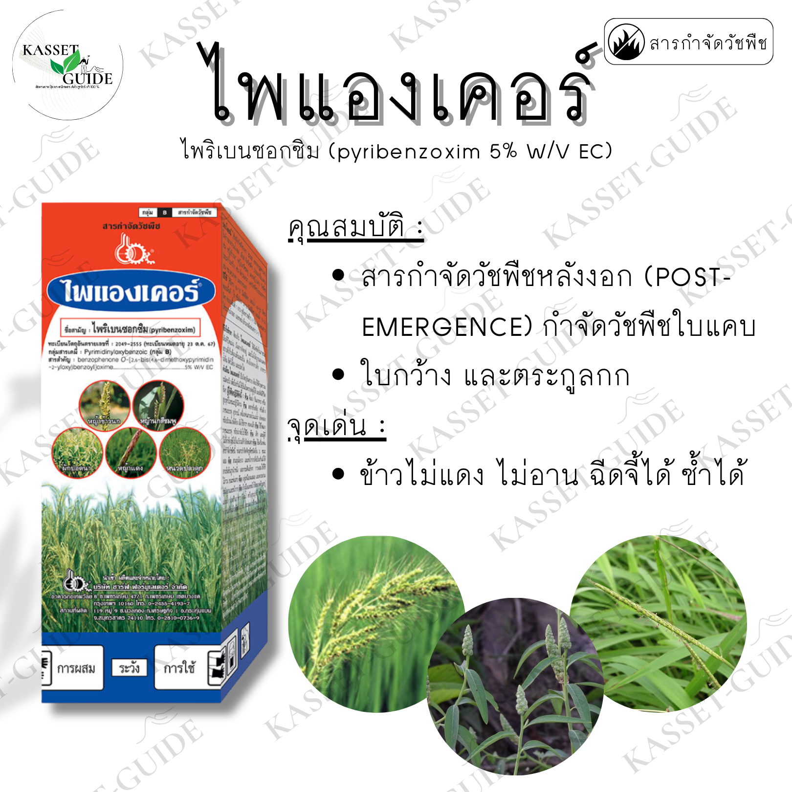 ไพแองเคอร์ (ไพริเบนซอกซิม) ยาเก็บหญ้าข้าวนก หญ้าดอกขาว กก พริกไทย หนวด ...