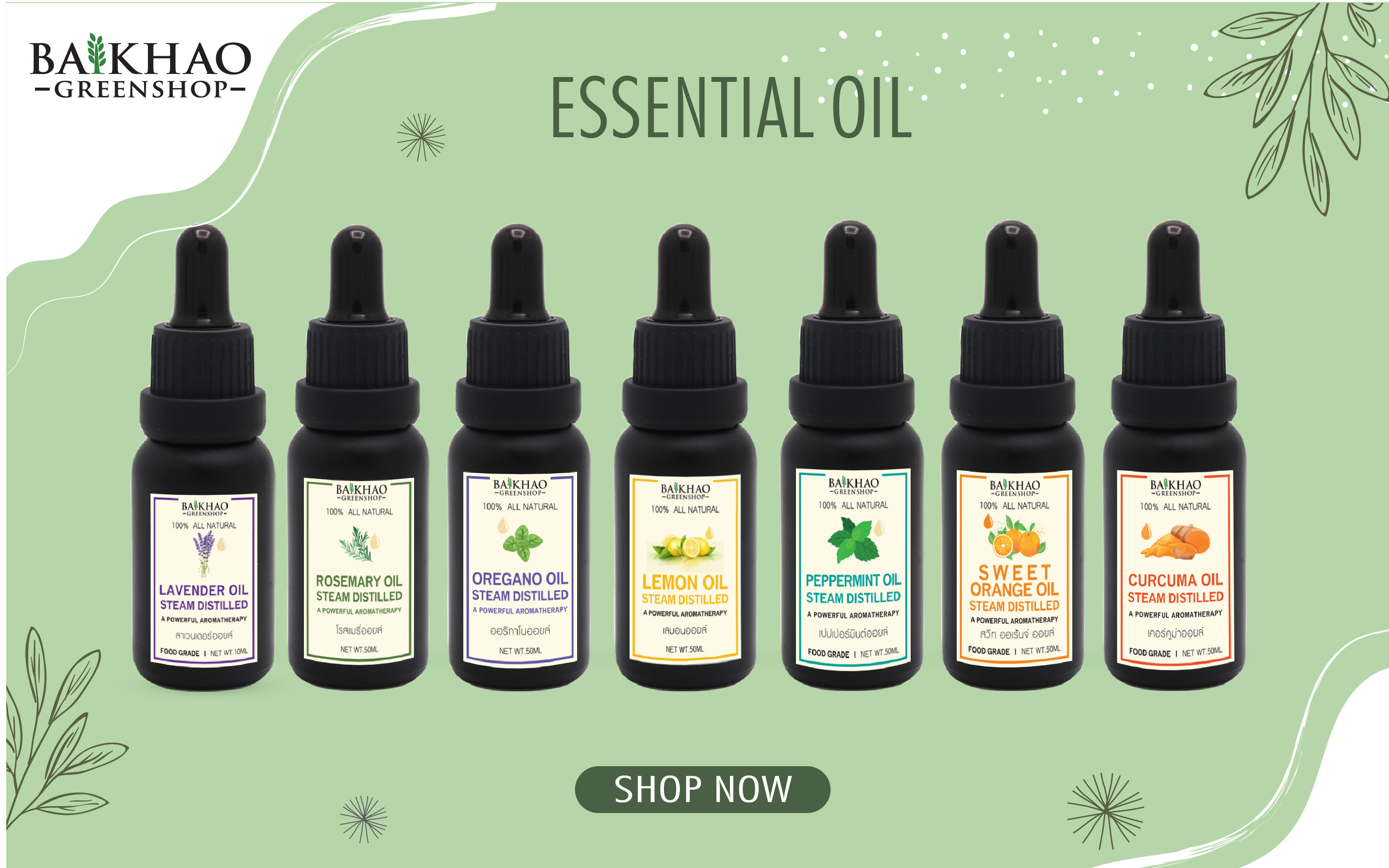 Curcuma Oil Concentrate Undiluted / เคอร์คูม่าออยล์ 100% | Shopee Thailand