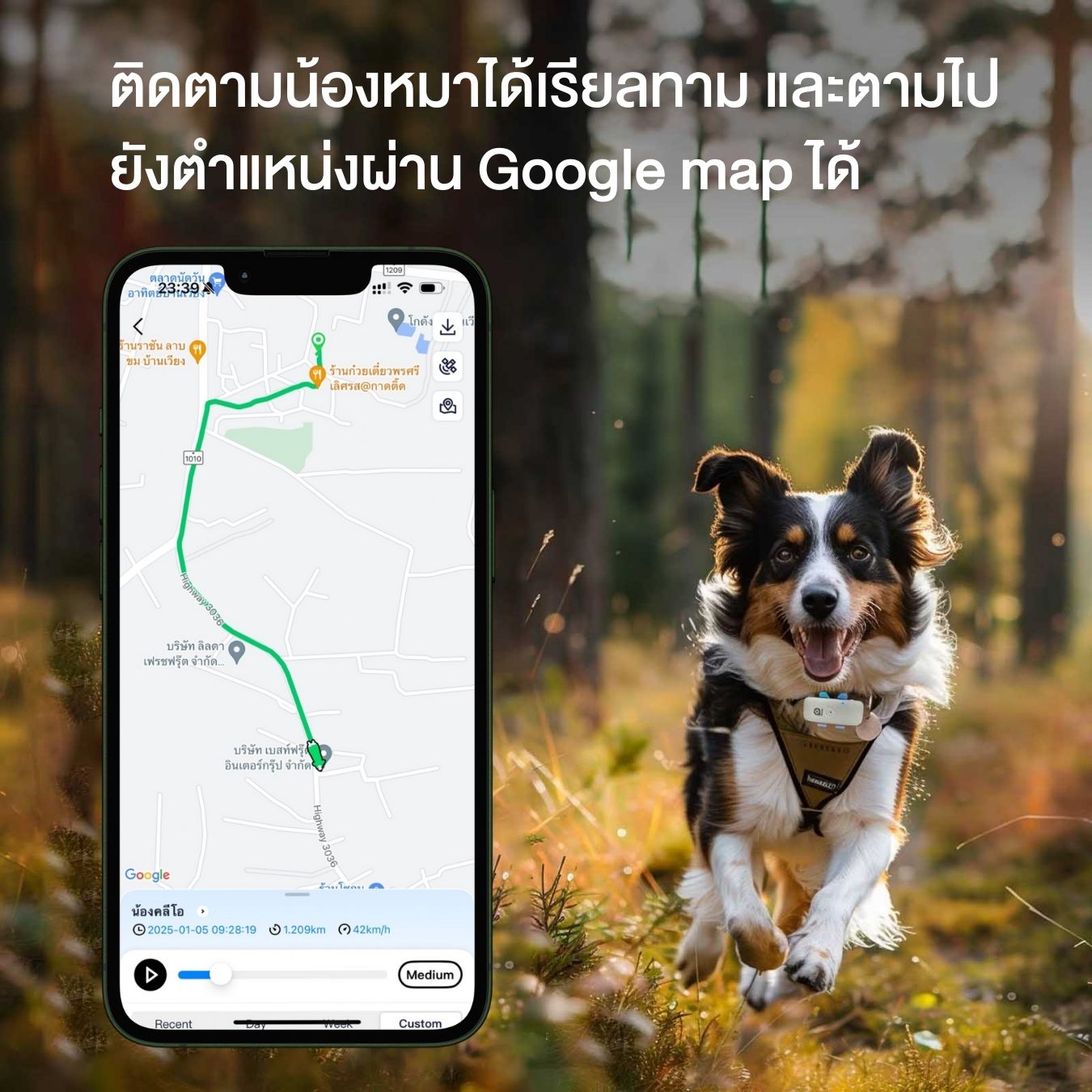G-Dog GPS ติดตามน้องหมา โดยยึดกับปลอกคอ ช่วยติดตามสุนัขได้ ป้องกันการ ...