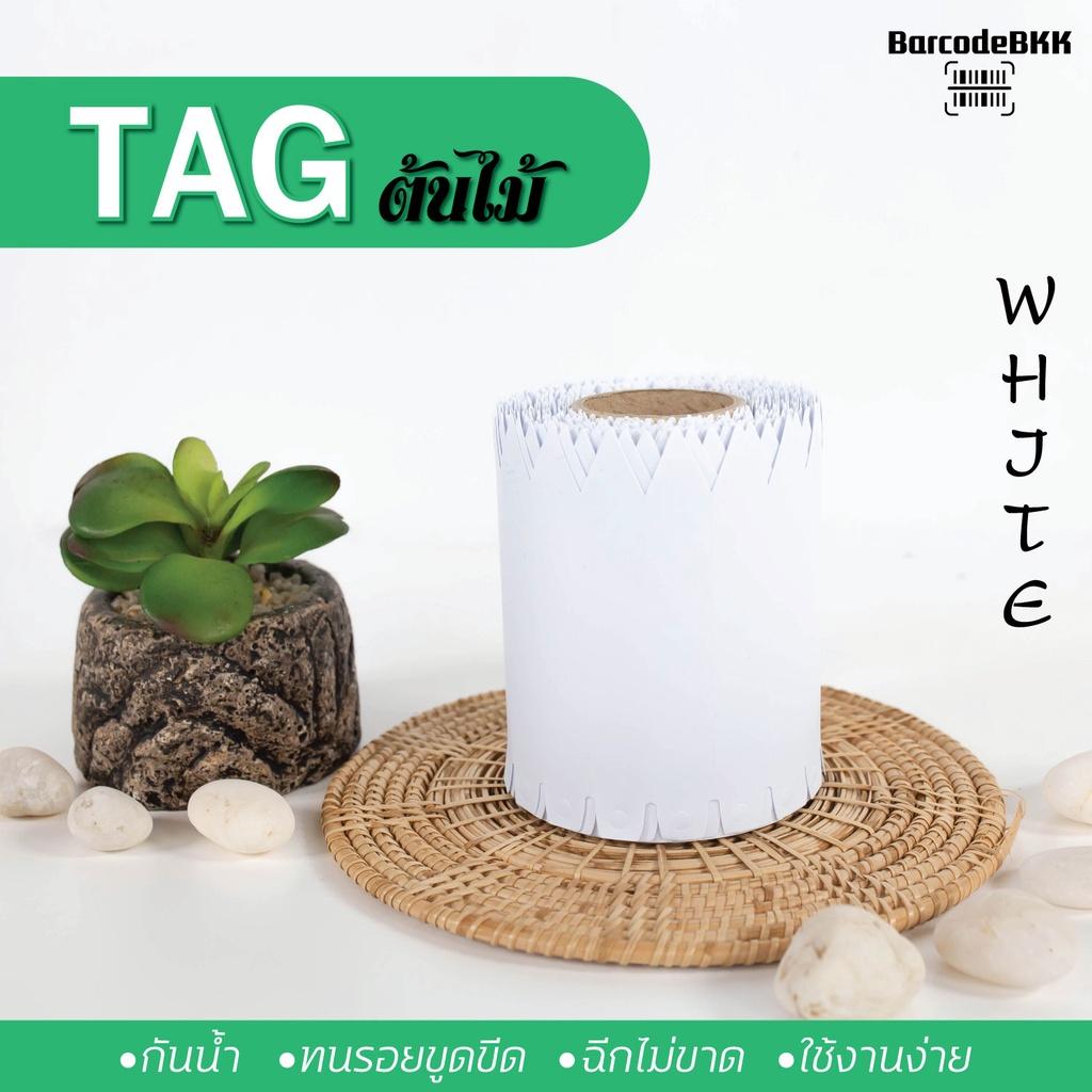 ป้าย TAG ต้นไม้ Zise 10X1.5 CM TAG กล้วยไม้ ทุกแบบทุกประเภท ใช้งานกับ ...