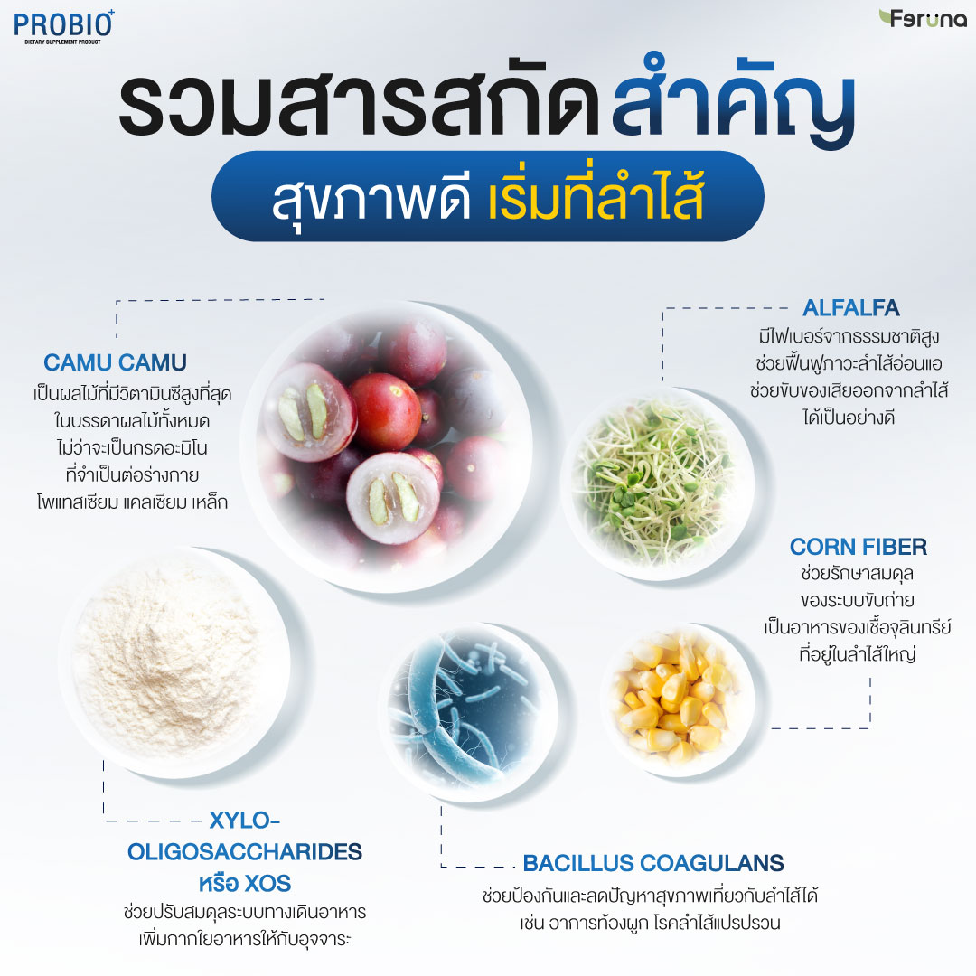 Feruna Probio+ Produra ฟีรูน่าโปรไบโอพลัส โพรไบโอติกและพรีไบโอติก ปรับ ...