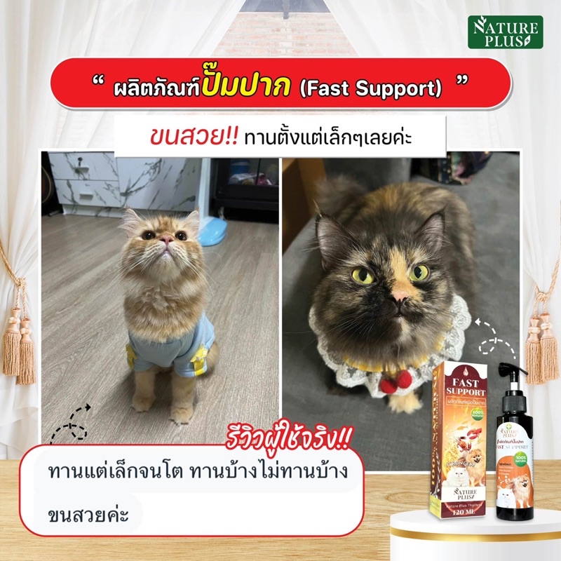 [แท้100%] Fast Support ปั๊มปาก Nature Plus ช่วยฟื้นฟูผิวหนัง ภูมิ ...