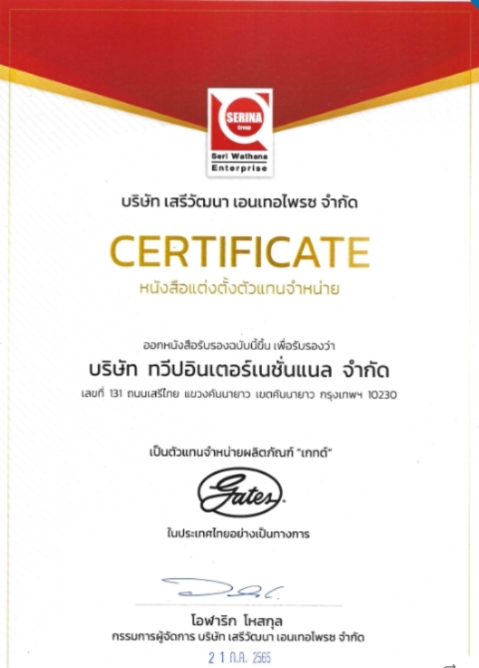 INA มู่เล่ไดชาร์ท 1.0-1.6GDI Accent, Elantra, Picanto ปี11, Soul ปี14 / ...