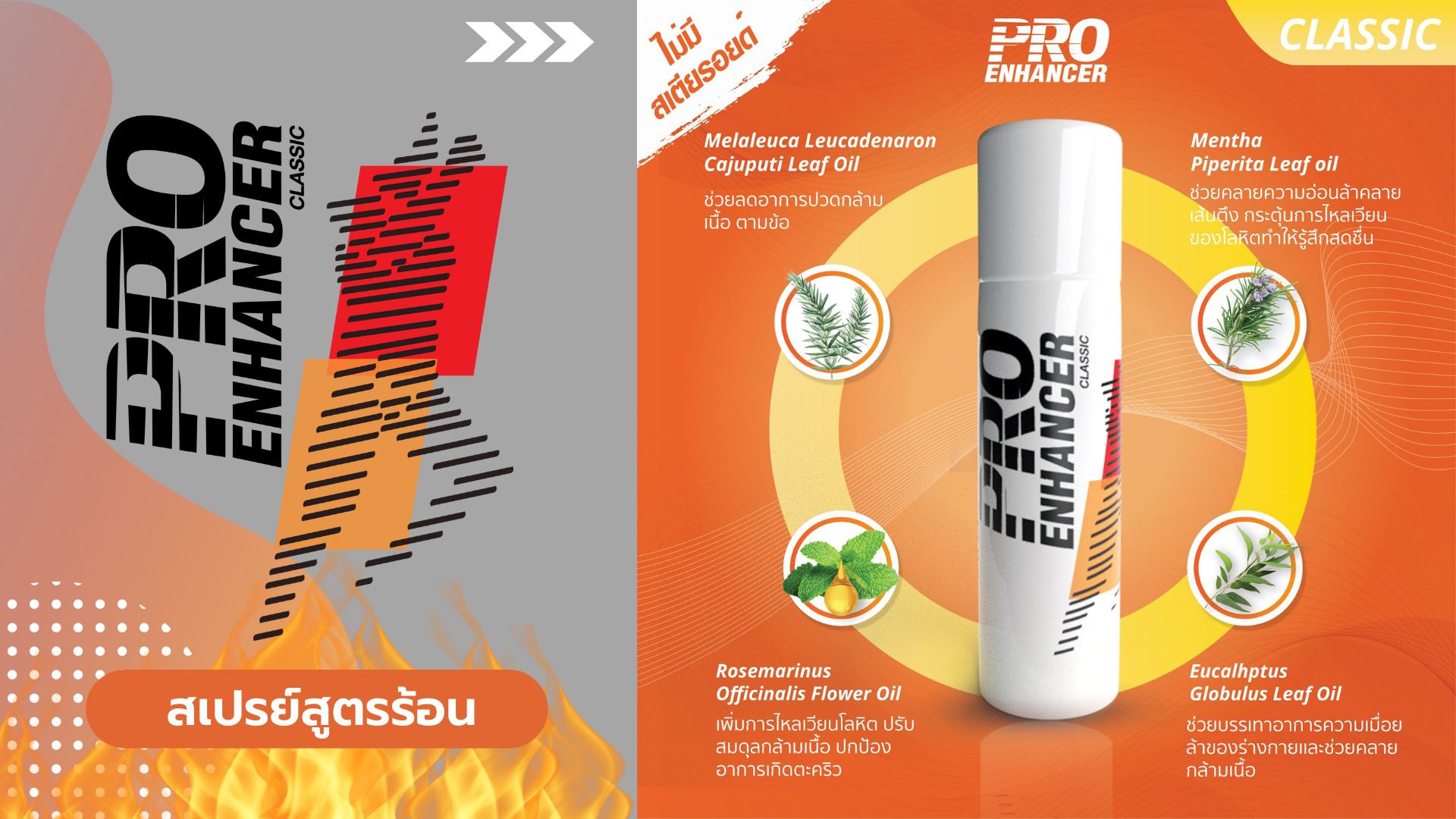 Pro Enhancer Classic (สูตรร้อน) สำหรับ วิ่ง ปั่นจักรยาน แบดมินตัน ...