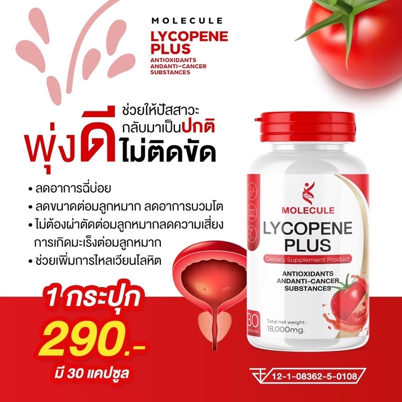 LYCOPENE PLUS ไลโคปีนโมเลกุล ลดฉี่กระปริบกระปอย ขับปัสสาวะให้เป็นปกติ ...