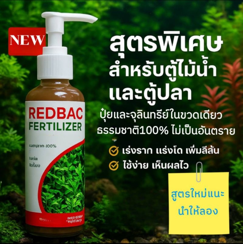 (ส่งของทุกวัน)REDBACแบคทีเรียบำรุงสูตรเข้มข้น สำหรับ ตู้ปลา ตู้ไม้น้ำ ...