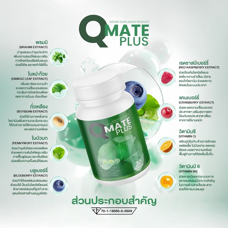 Qmate คิวเมด วิตามินบำรุงสมอง สมองดี ลดเคลียด จำไว หัวไว ป้องกันอัลไซด์ ...