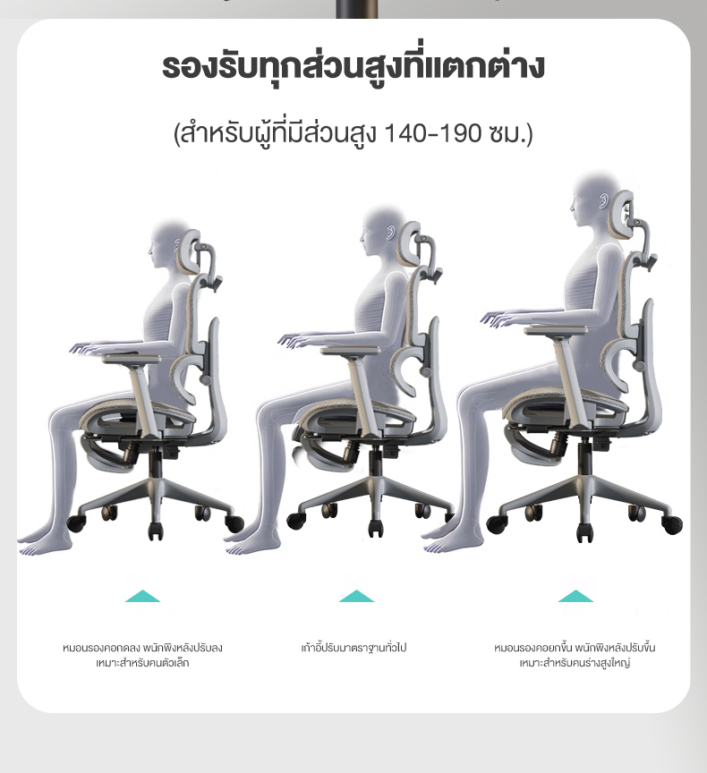 Kris P5 เก้าอี้เพื่อสุขภาพ เก้าอี้ตามหลักสรีรศาสตร์ รุ่นเข้า สไตล์ราคาประหยัด รับประกัน 3 ปี อะไหล่ทดแทนฟรี