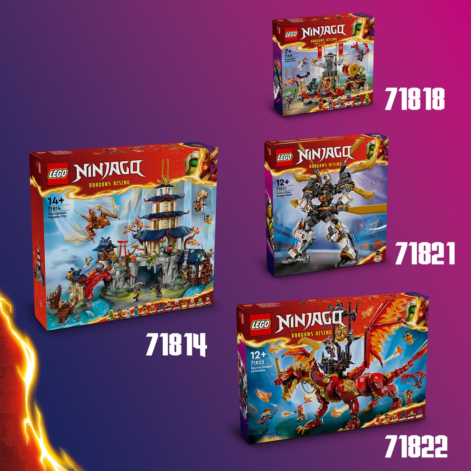 LEGO NINJAGO 71814 LEGO Ninjago 71814 Tournament Temple City (3489 ...