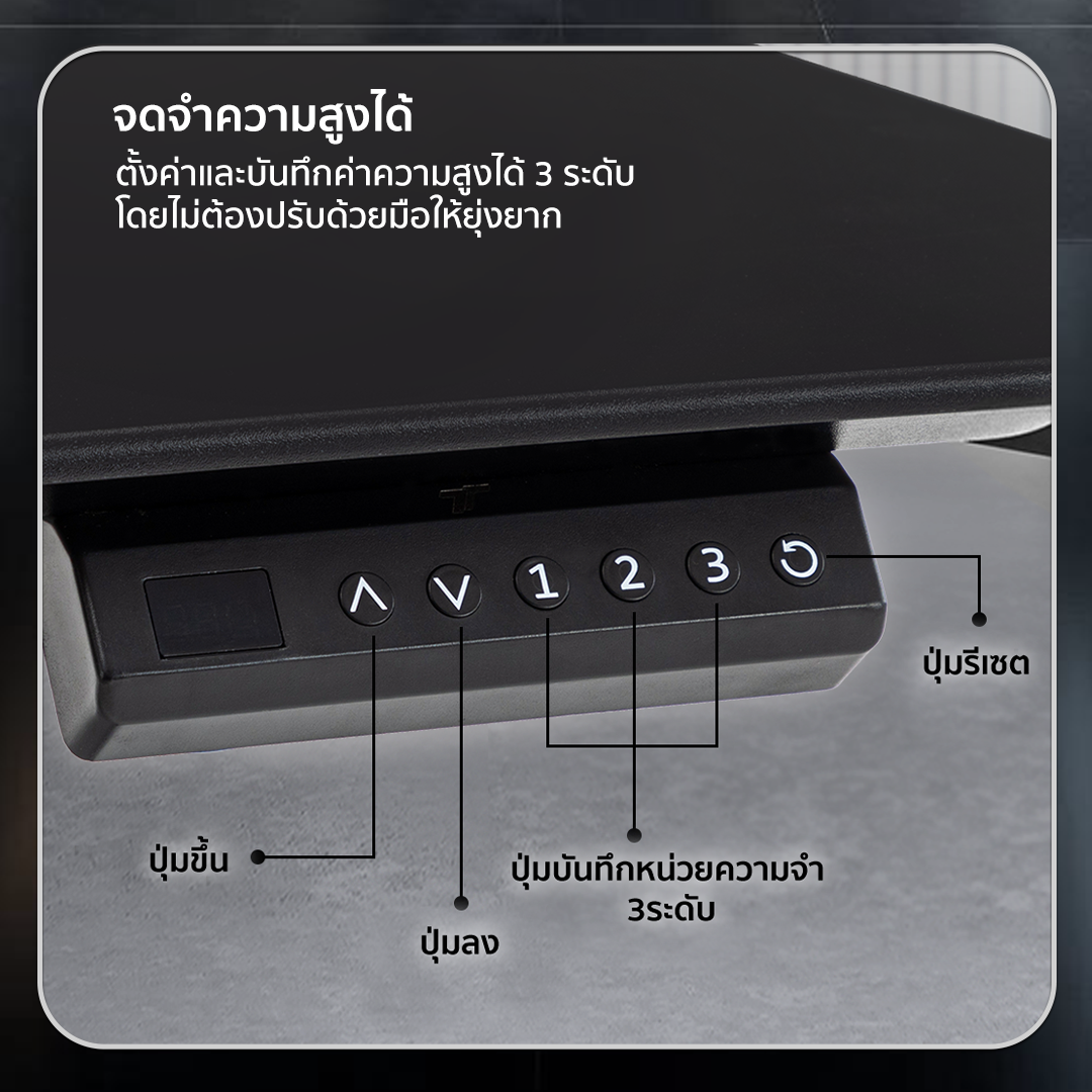 TTRacing Titus Smart Desk โต๊ะทํางานปรับระดับไฟฟ้า โต๊ะไฟฟ้า สีขาว สีเมเปิ้ล สีน้ำตาลวอลนัท สีโทนอุ่น สีไม้  โต๊ะคอม ดีไซน์ล้ำ เพิ่มความสะดวก ปรับระดับความสูงได้ หน้าโต๊ะกว้าง ขอบไร้เหลี่ยม ทนทาน รับประกันคุณภาพ รองรับน้ำหนักได้ถึง 80 กก.