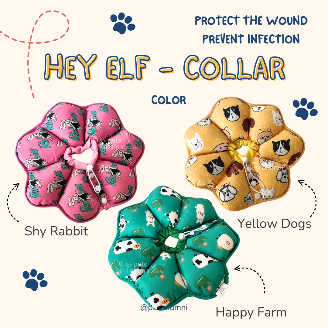 Hey Elf Collar คอลล่ากันเลียน่ารัก ชนิดนิ่ม กันน้ำ ปรับระดับได้ คอลล่า ...