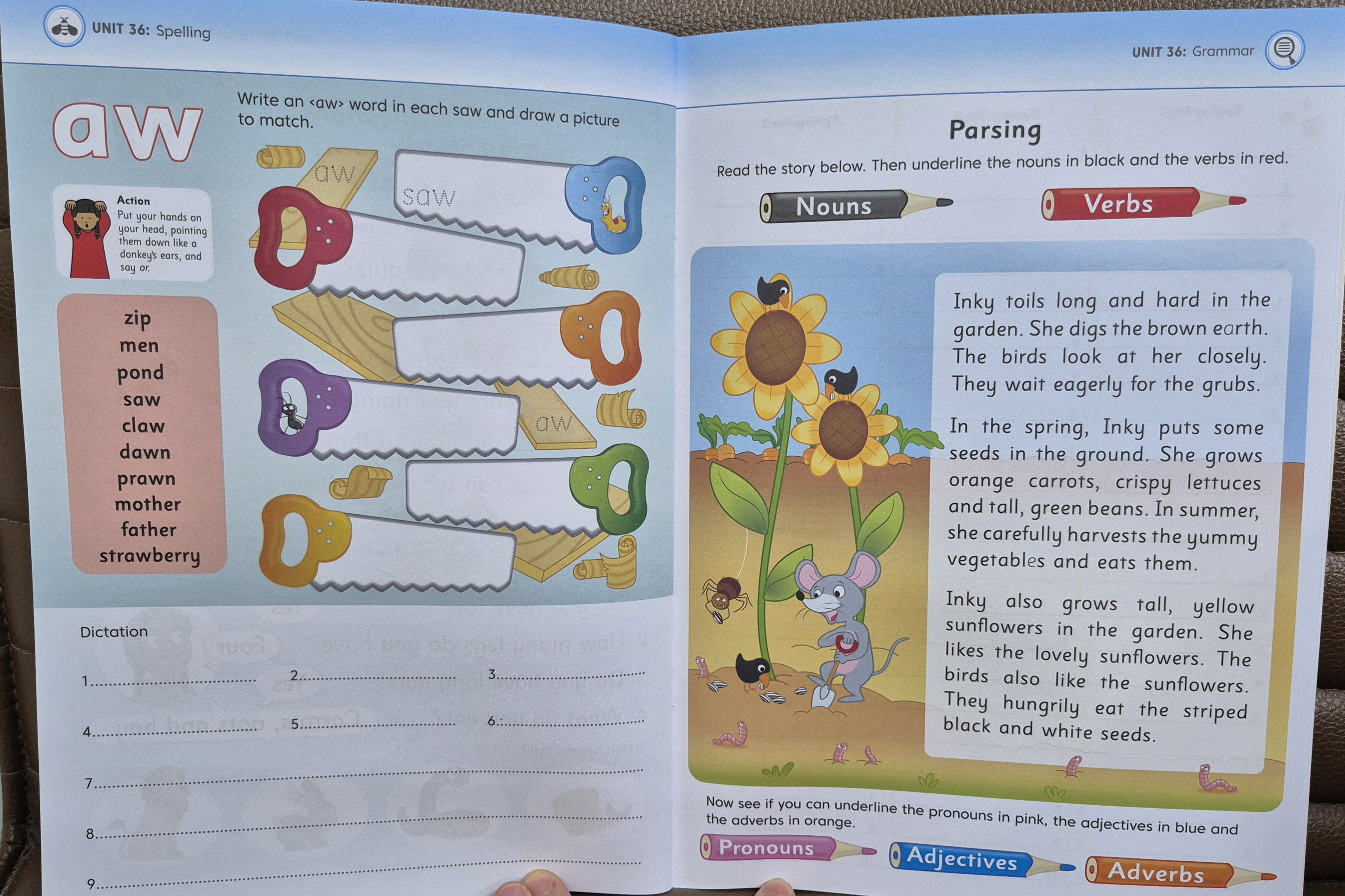 Spelling, Grammar & Punctuation Pupil Book 1: Jolly Literacy: | Shopee ...